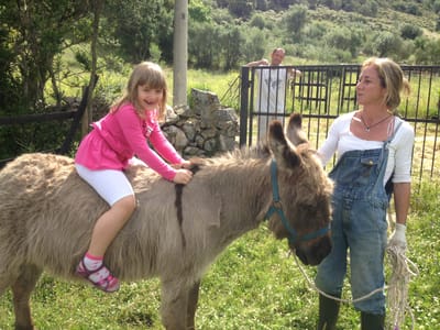 Imparare divertendosi  image