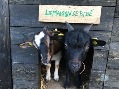 Imparare divertendosi  image