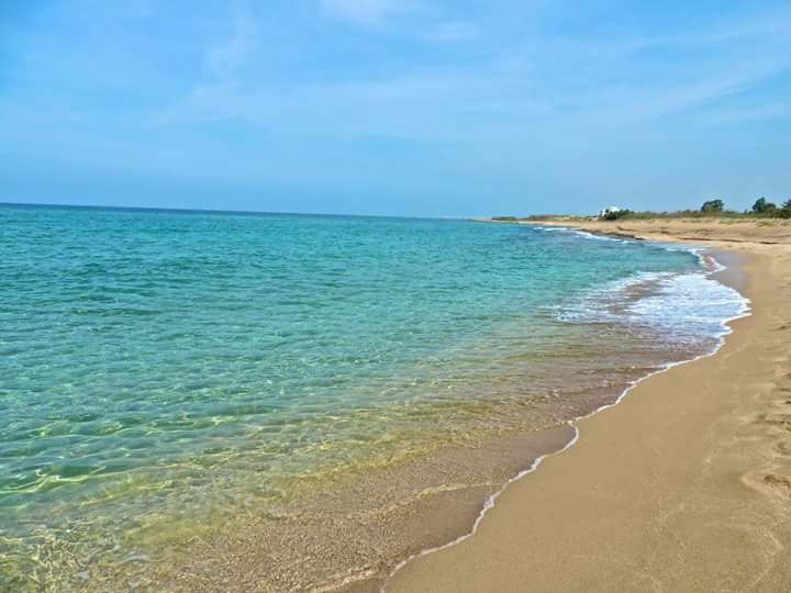 Envie de plonger dans cette plage ?