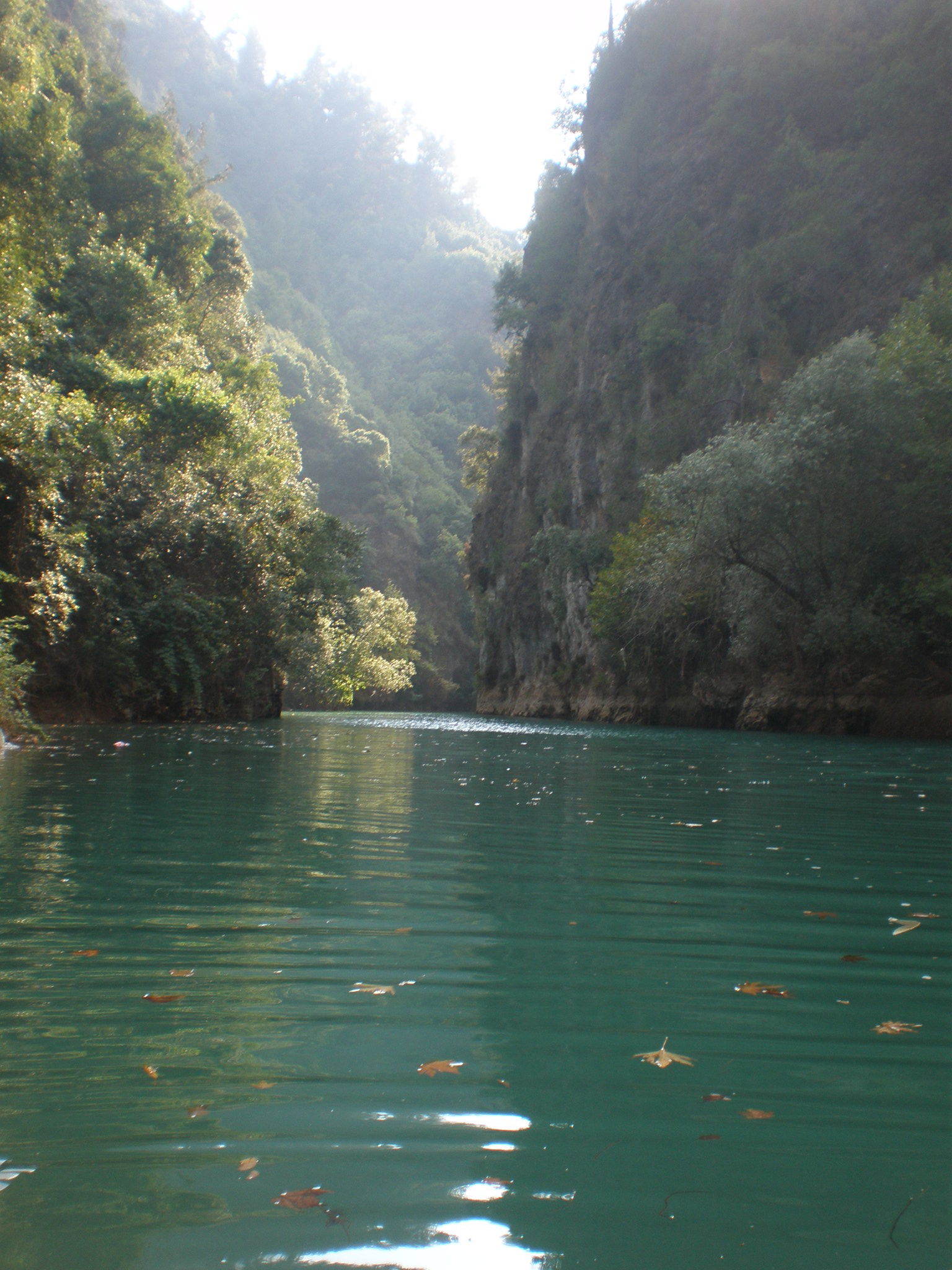Nagez dans la rivière d'Adonis, a travers les canyons.