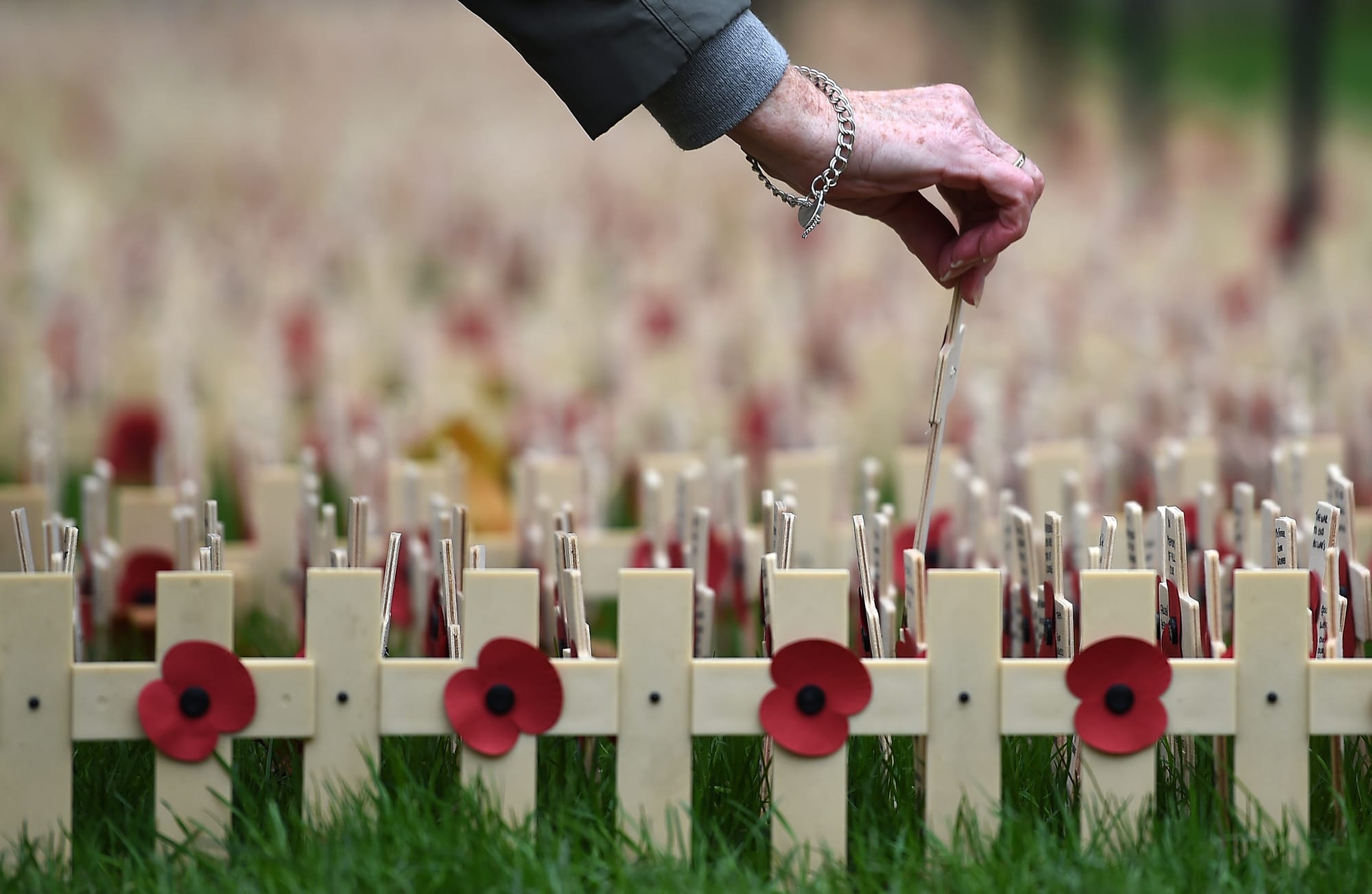 Armistice commemorations, London, 2014.