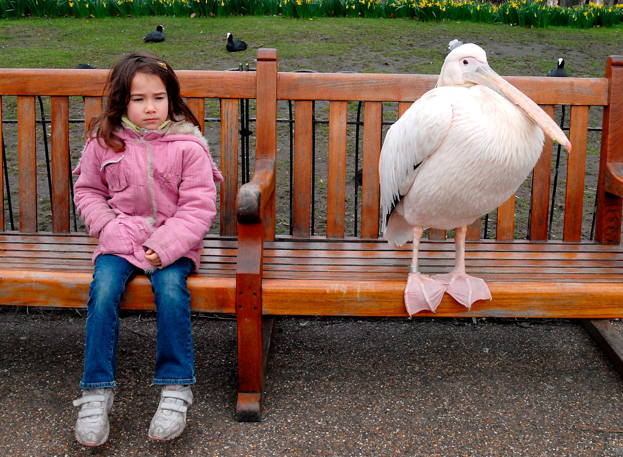 My daughter Anna and pelican, London, 2007.