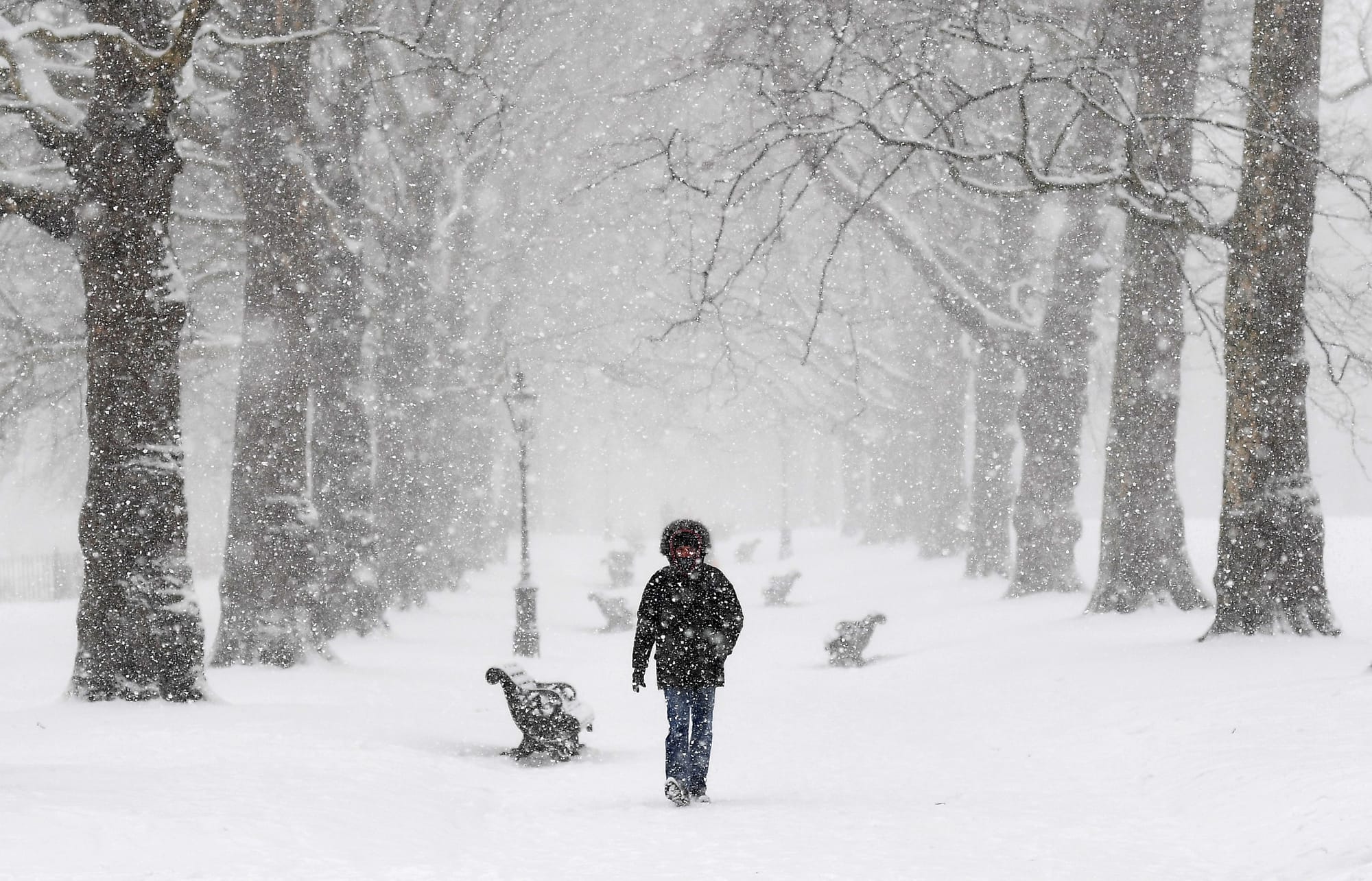 Winter snow, London, 2018.