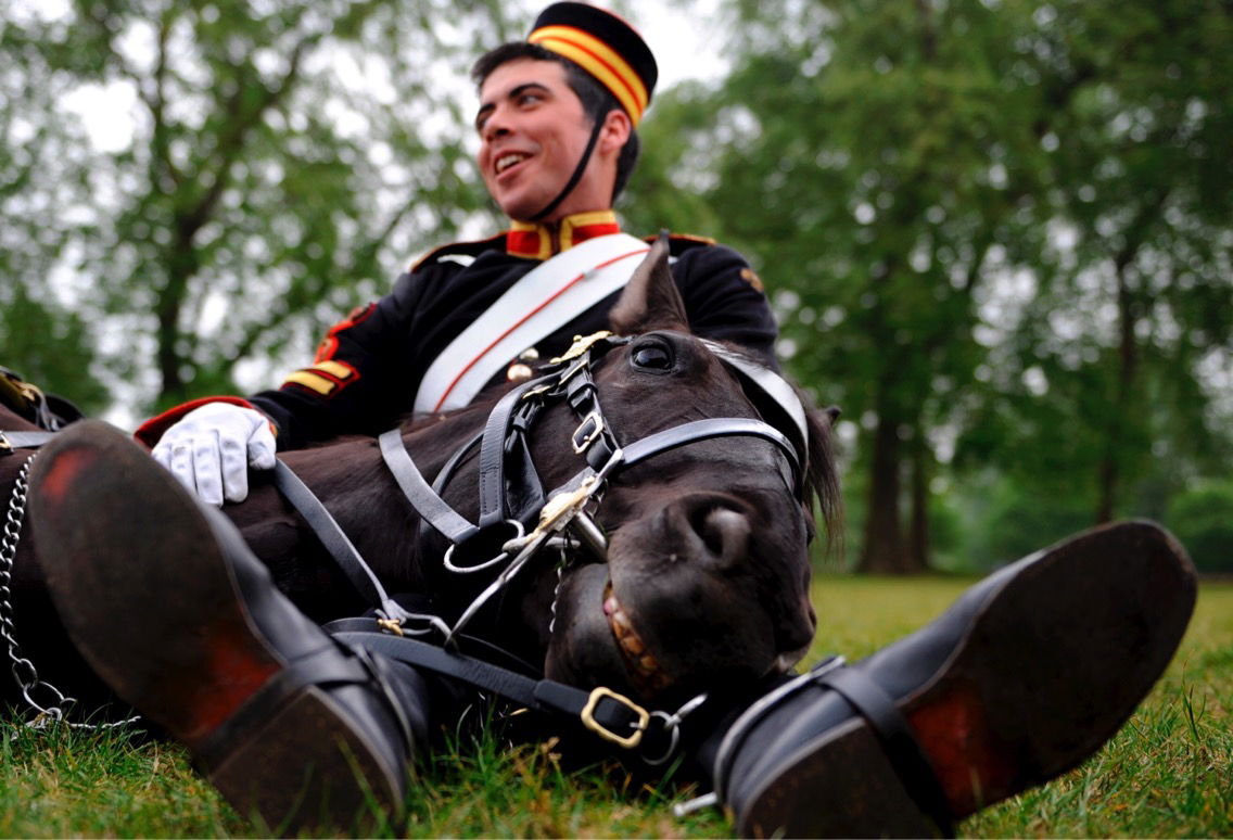 Household Cavalry guard with his horse, London, 2009.