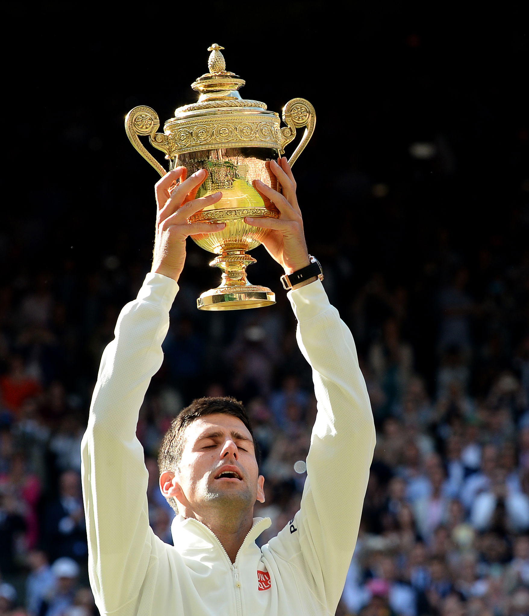 Novak Djokovic, Wimbledon, 2014.
