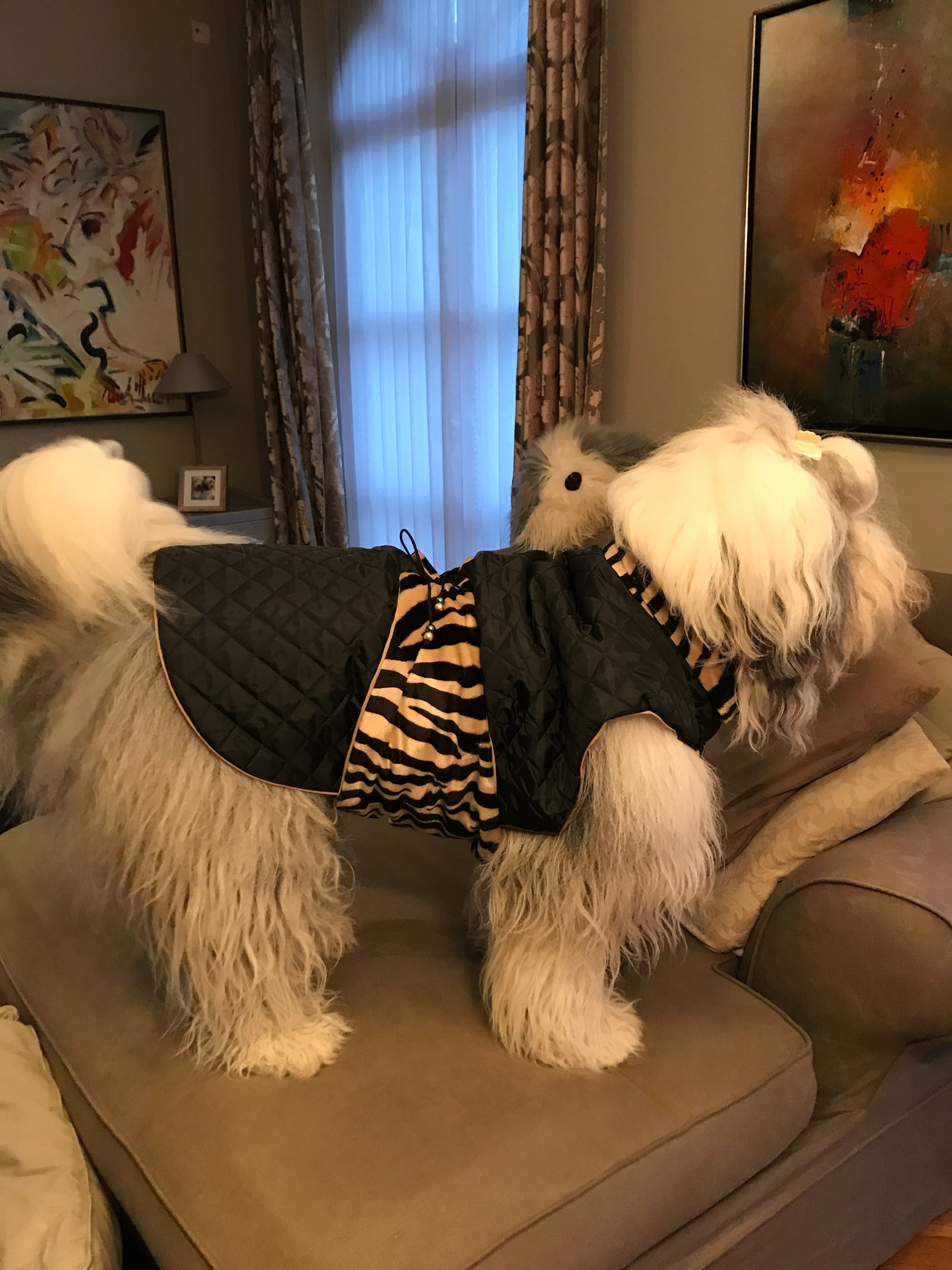 Rain jacket
