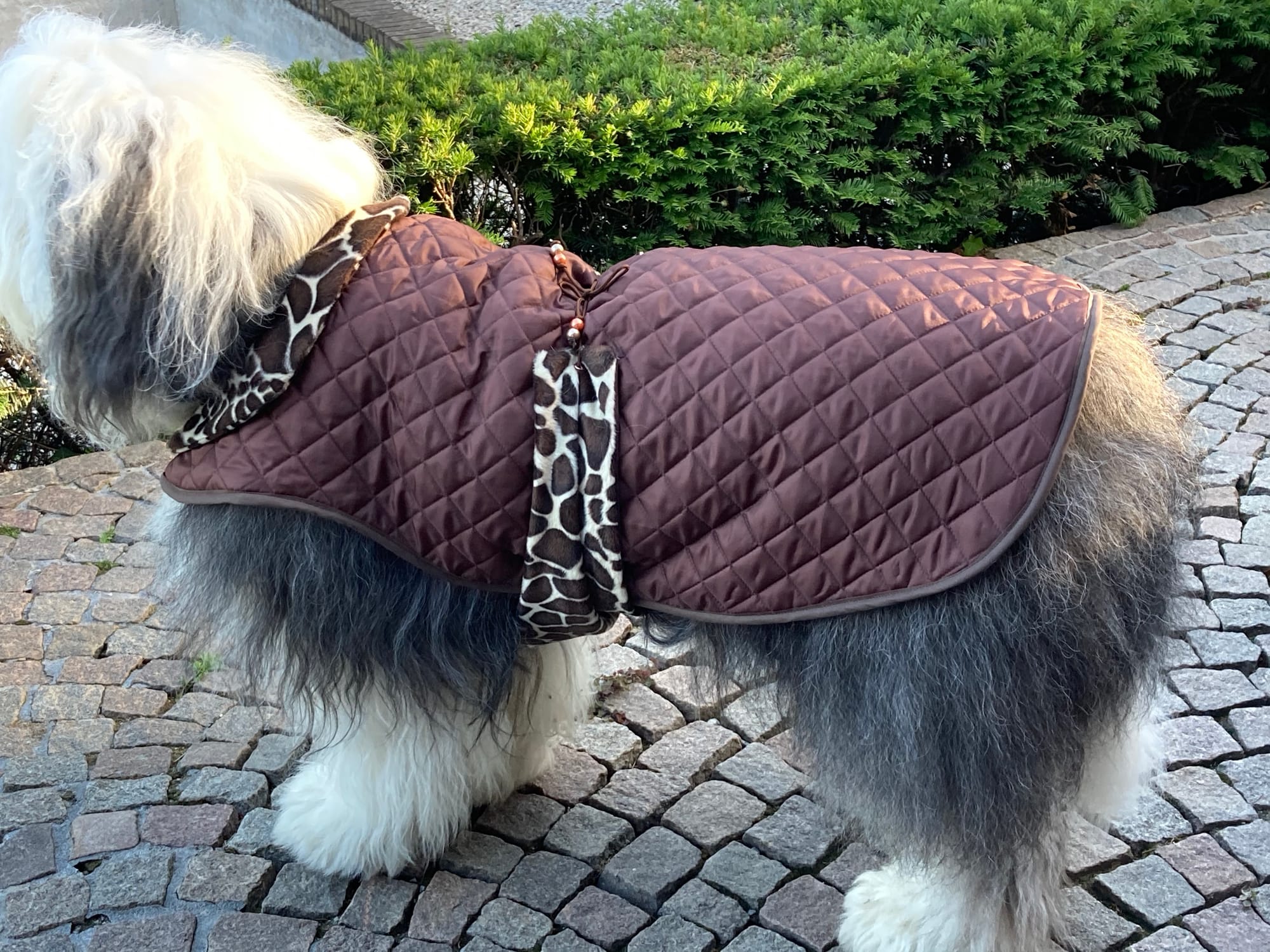Brown rain jacket