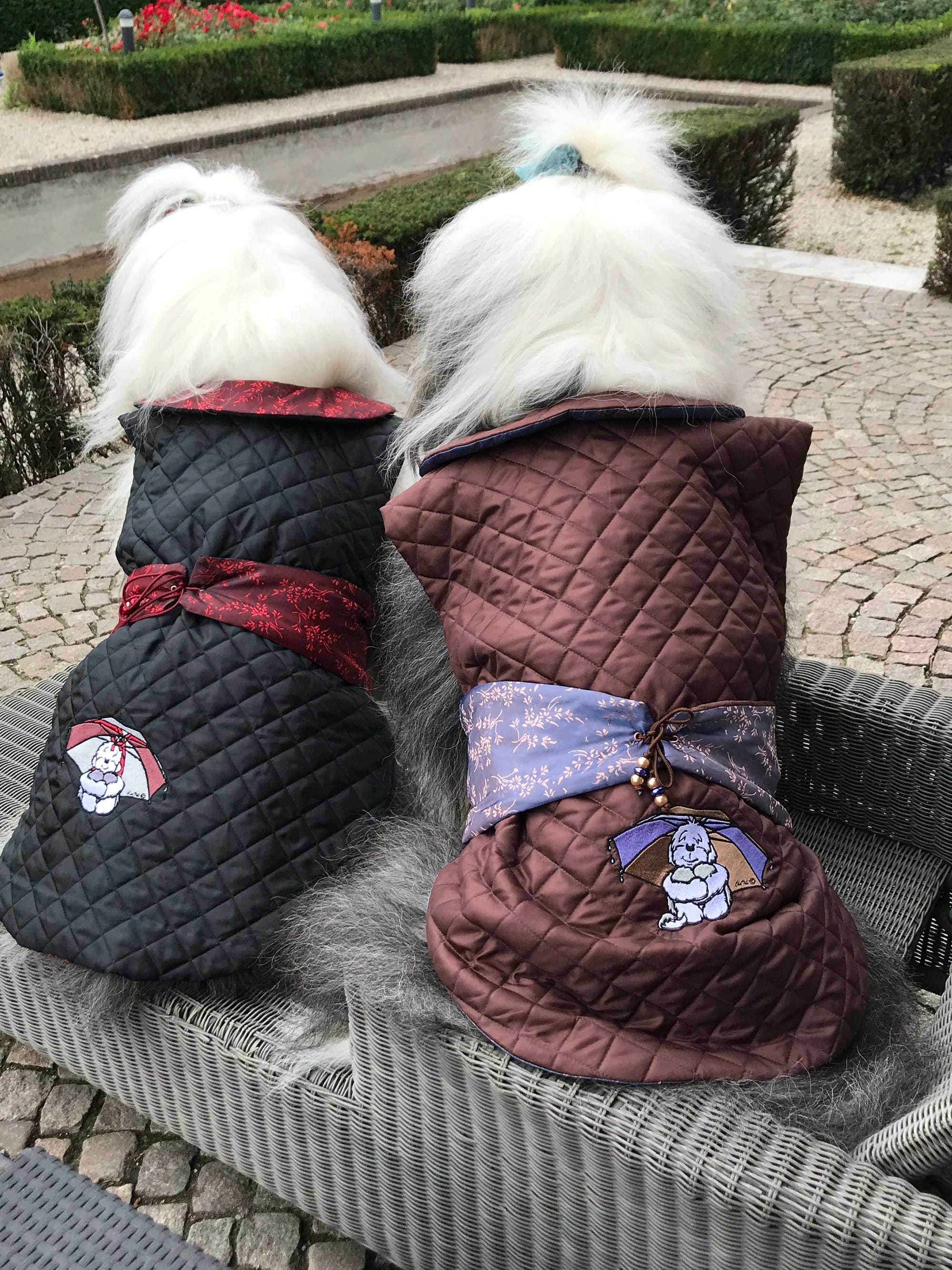 Rain jacket for a boy