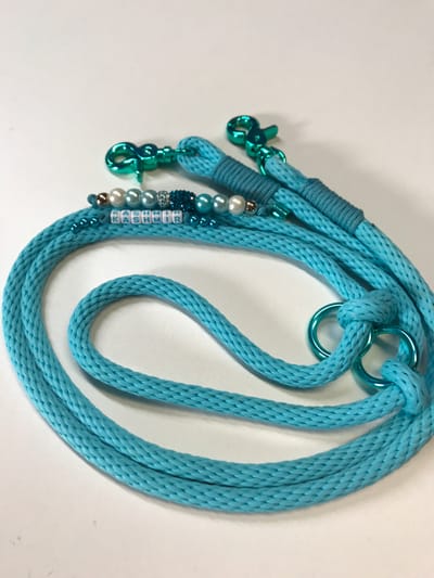 Turquoise dog leash