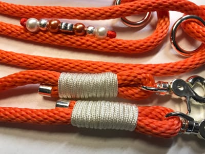 Orange dogleash