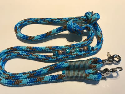 Blue and brown leash