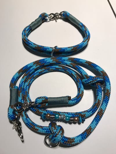 Blue/brown/blue leash