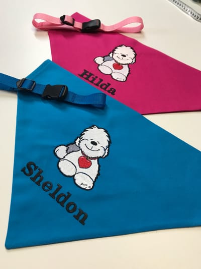 Pink and blue bandana