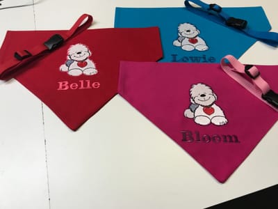 Different colors bandana