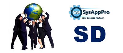 SAP SD Training in Noida image