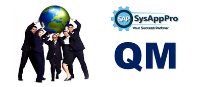 SAP QM Training in Noida image