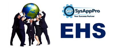 SAP EHS Training in Noida image