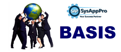 SAP Basis Training in Noida image
