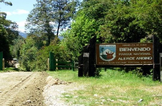 Parque Nacional Alerce Andino