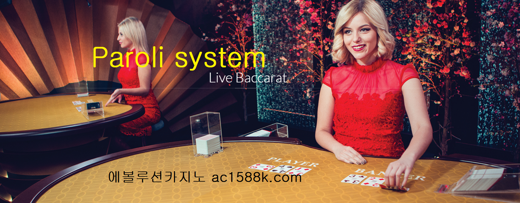 바카라 파로리 배팅시스템 //acboss33.net/