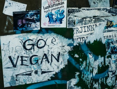 Go Vegan  - Start on a Vegan Diet with these 10 Easy Steps