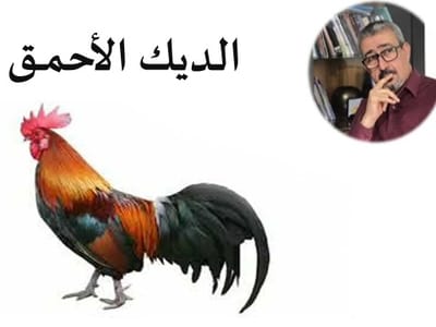 الديك الأحمق