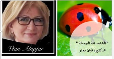 " الخنفسانة الجميلة "