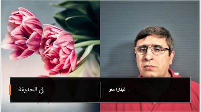 فِي الحَدِيقَةِ