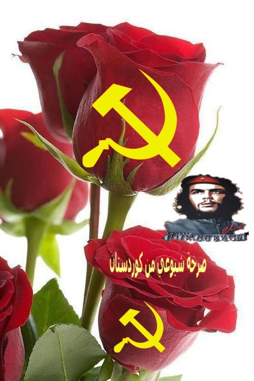 piçek Ronahî