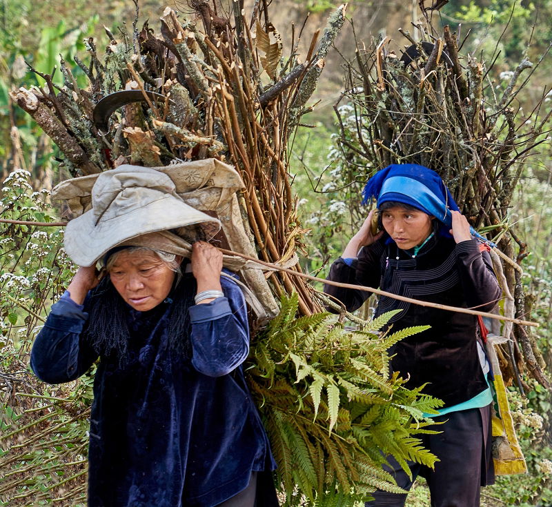 La Femme à travers le monde