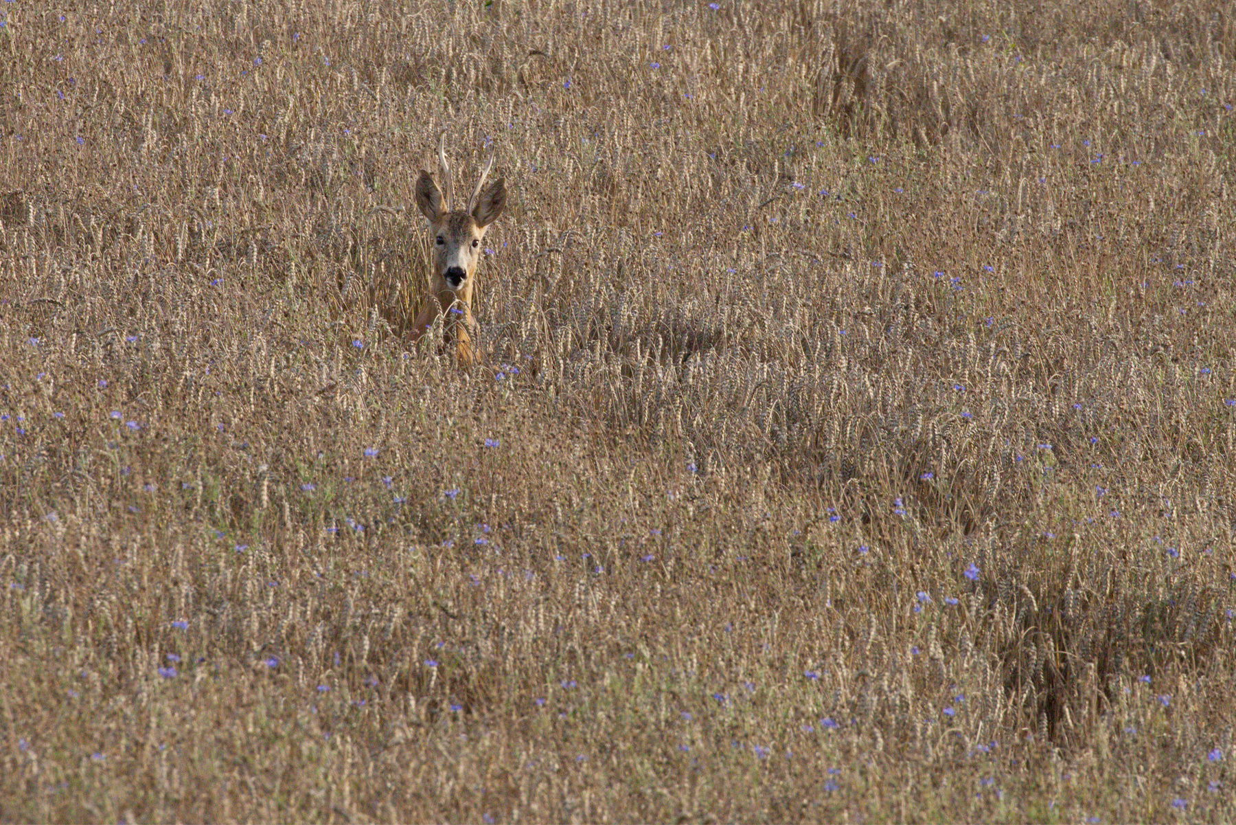 Au fil des saisons