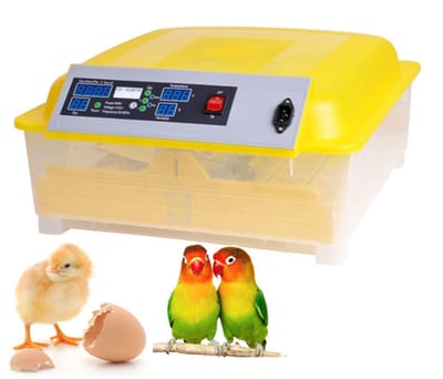 Gracelove 48 Digital Egg Incubator Egg Hatcher with Automatic Egg Turning (US Stock)