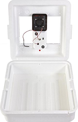 Miller Manufacturing Company 9300 White Digital Still Air Incubator