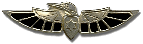 "תופסים כיוון" עם שלדג לתעסוקה