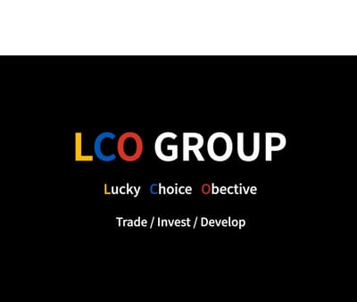 About LCO GROUP image