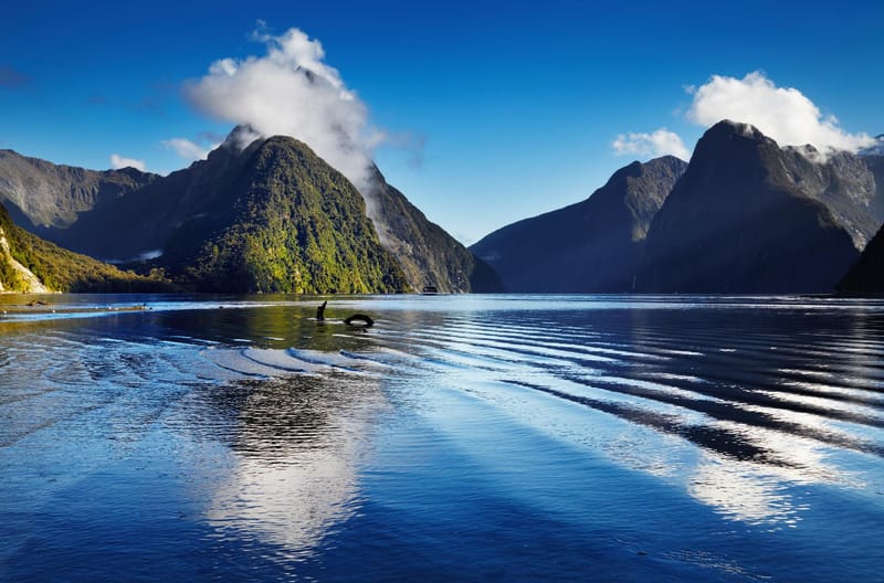 The 10 Best Things to Do in New Zealand 2019