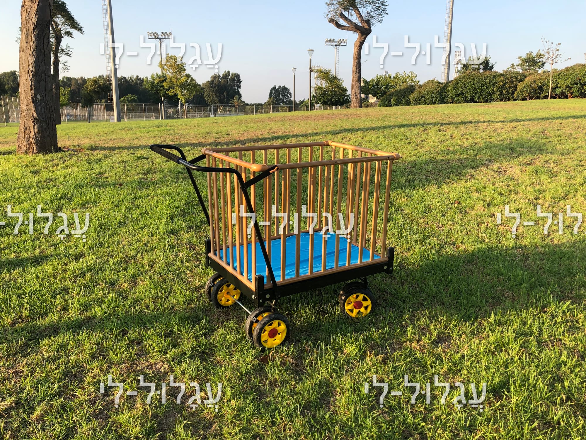 קצת על מחירי העגלולים שבשוק ועל מה כדאי להסתכל בקניית עגלול: