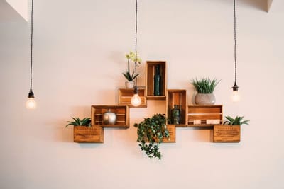thelightingblog image