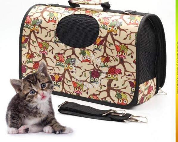 Traveling with a Cat in Cold Weather?