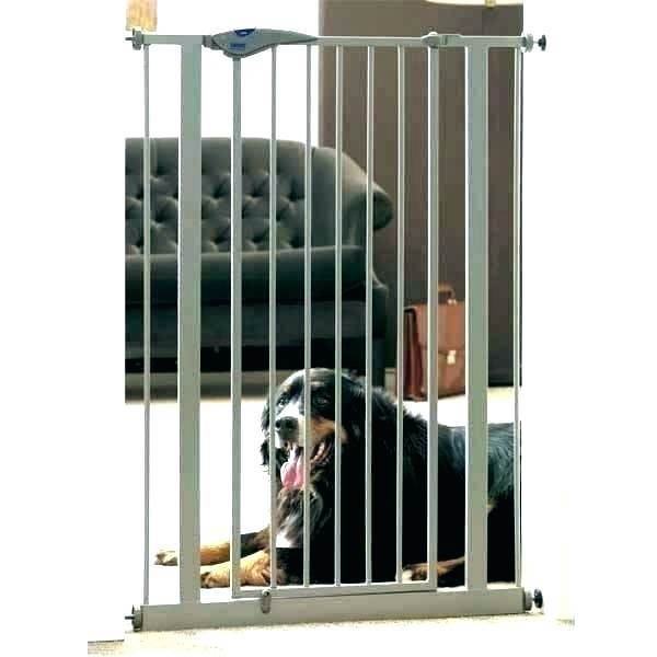 Choosing the Ideal Pet Door for Your Home