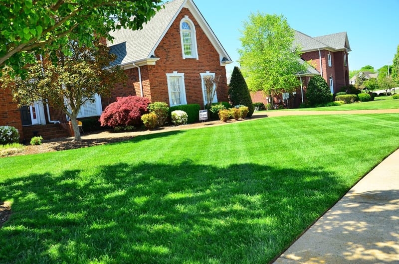 Residential Lawn Care