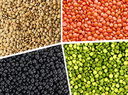 LENTILS