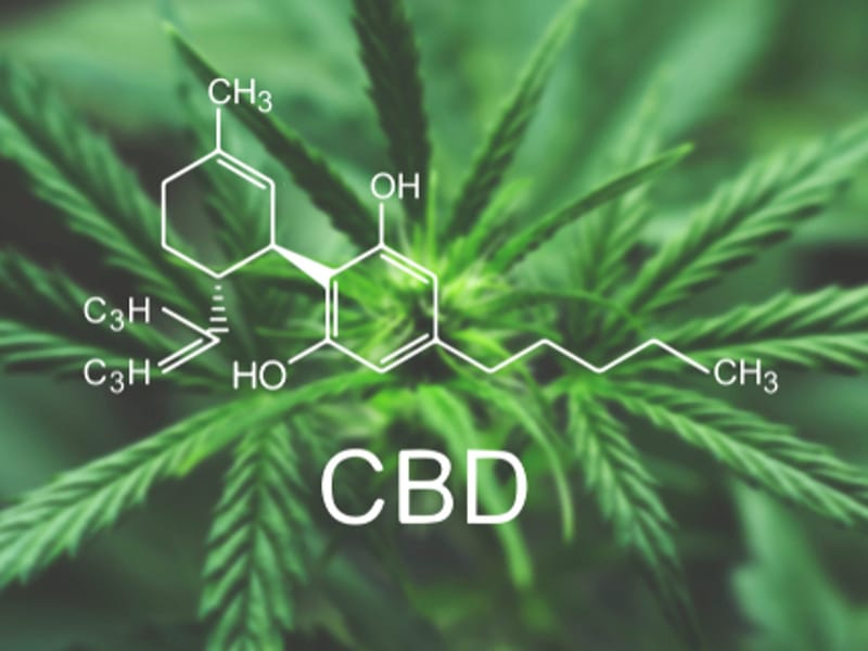 The CBD Story