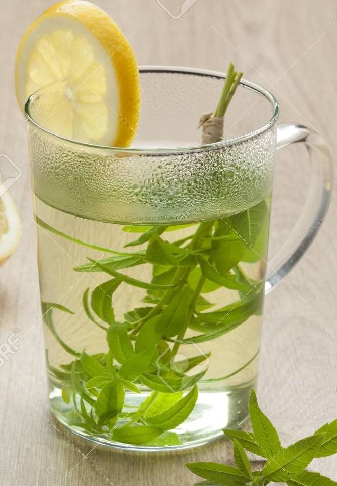 Verveine