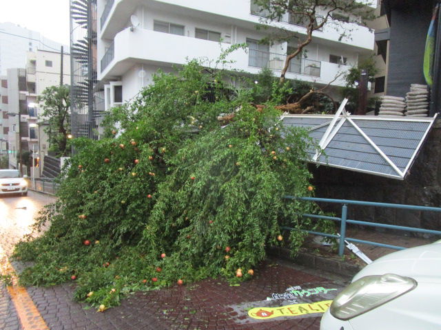 SDGsの目標：11　住み続けられるまちづくりを