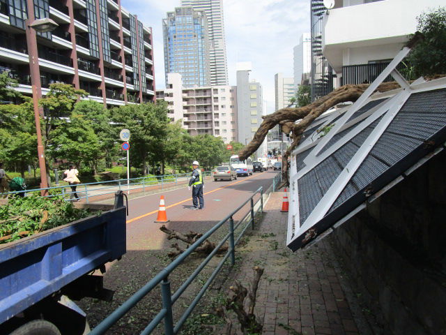 SDGsの目標：11　住み続けられるまちづくりを