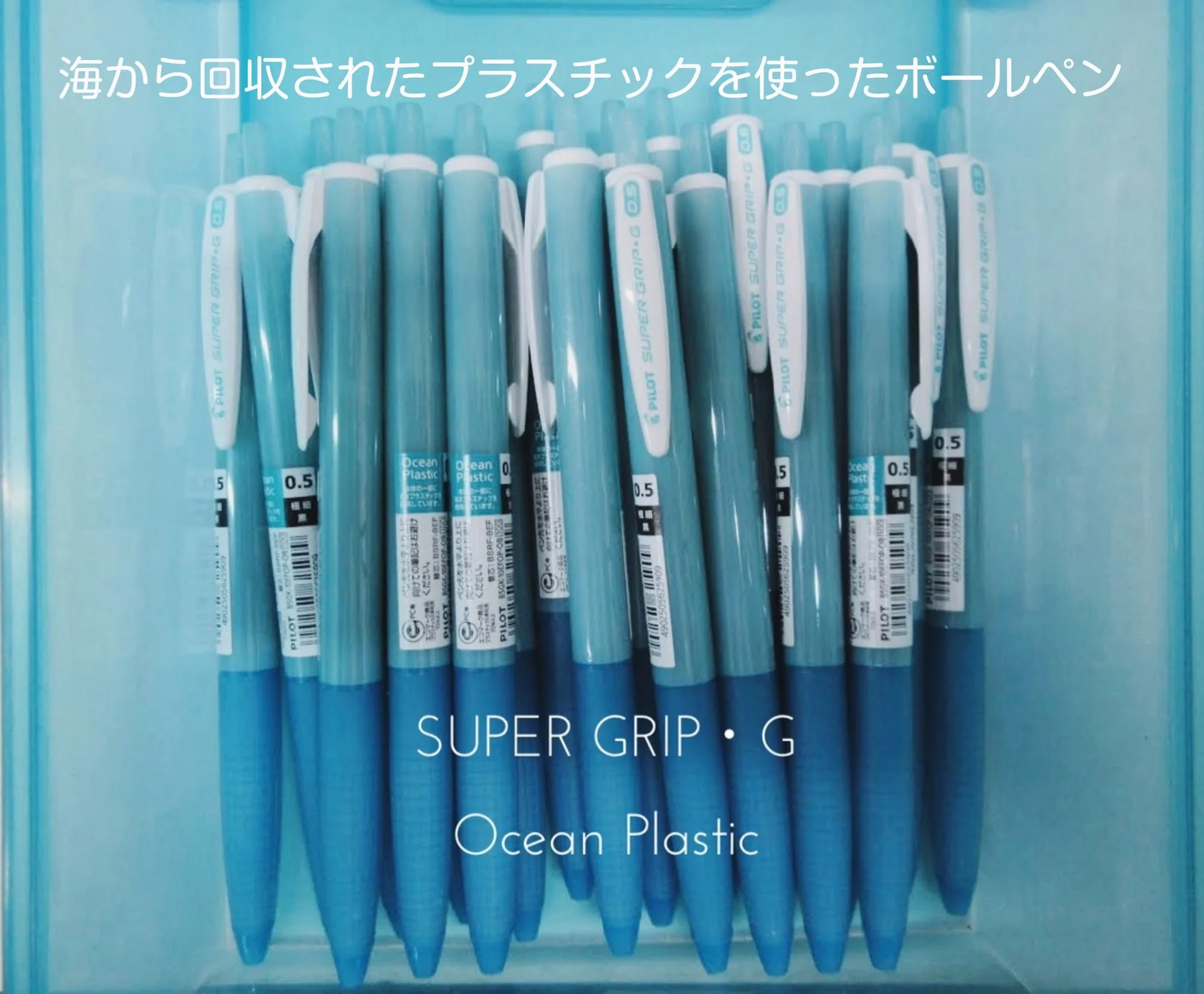 SDGsの目標：14　海の豊かさを守ろう