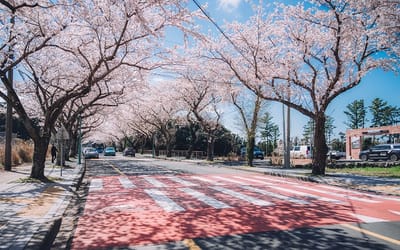 Lam sao xin visa Han Quoc 5 nam?