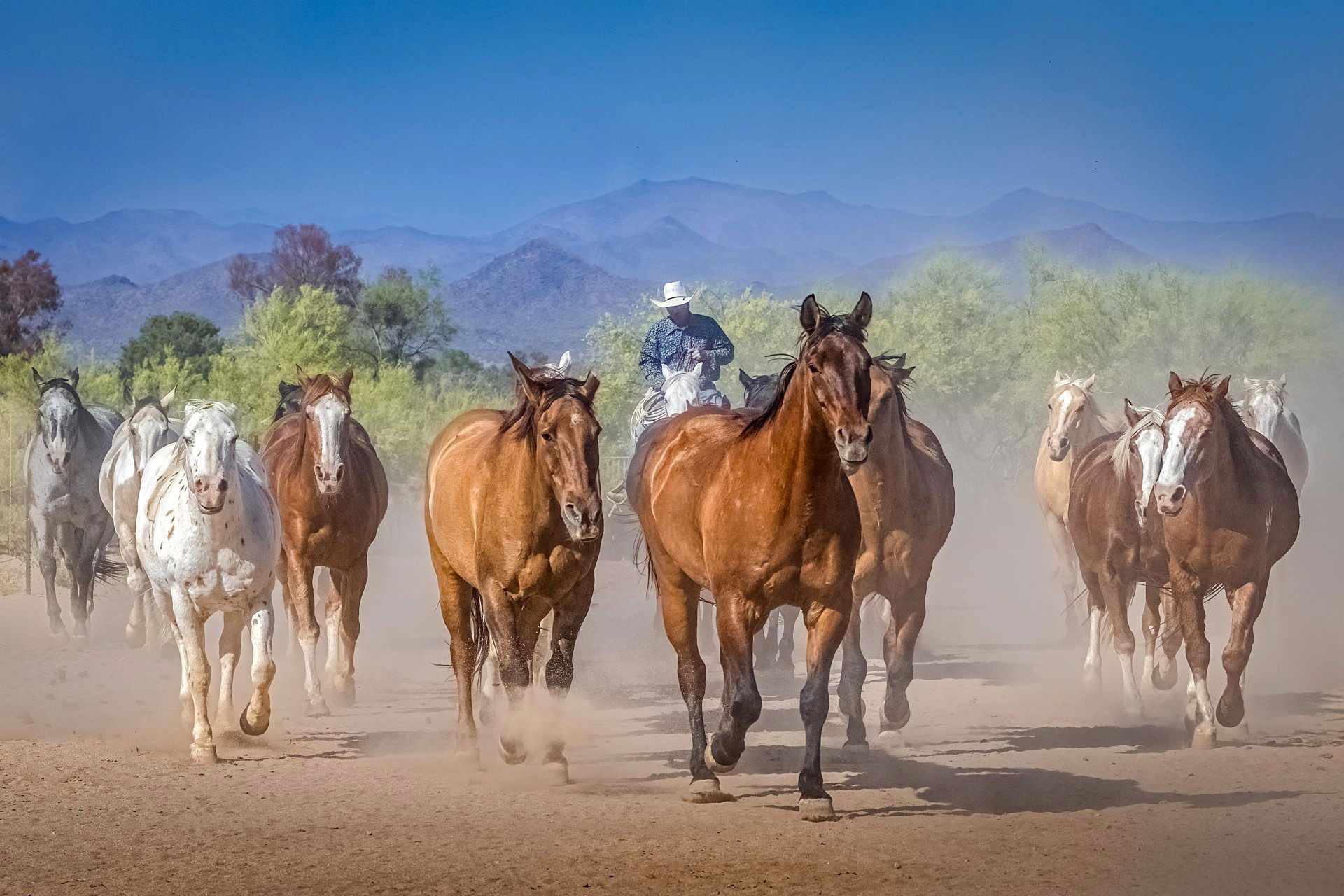 On the Ranch