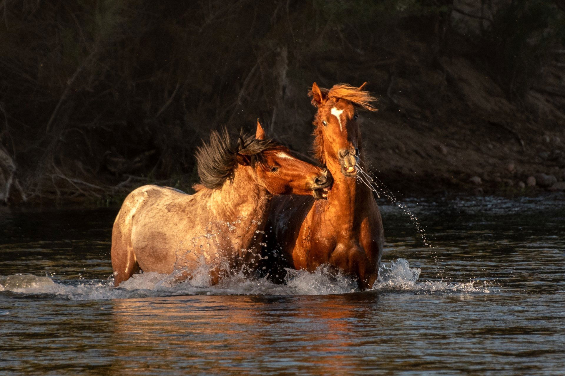 River Rumble